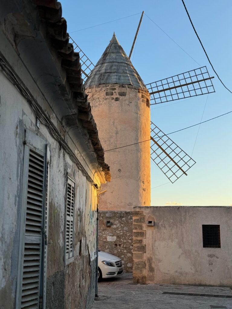 Historische Windmühle in Es Jonquet Palma